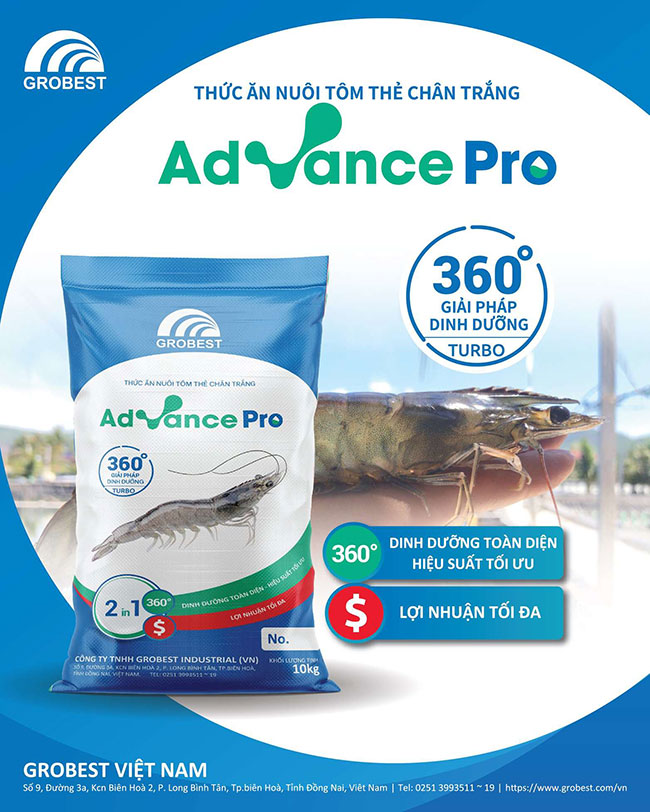 Grobest ra mắt sản phẩm Advance Pro: Dinh dưỡng đột phá - Tối đa lợi nhuận
